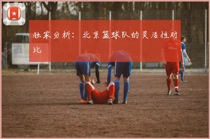 独家分析：北京篮球队的灵活性对比