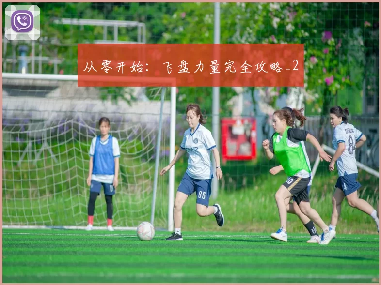 从零开始：飞盘力量完全攻略_2