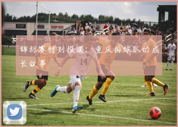 锦标赛特别报道：重庆排球队的成长故事