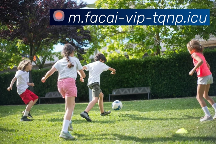 星空体育平台生态图