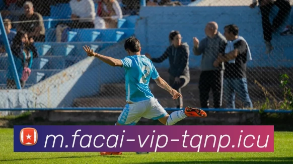 星空体育APP 封面图